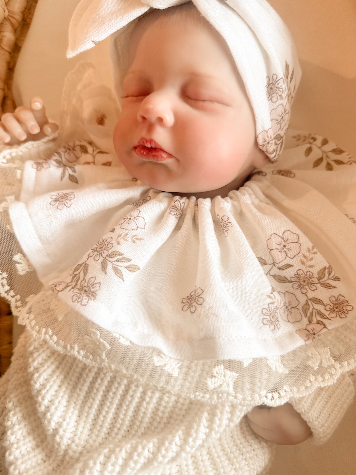 Collerette