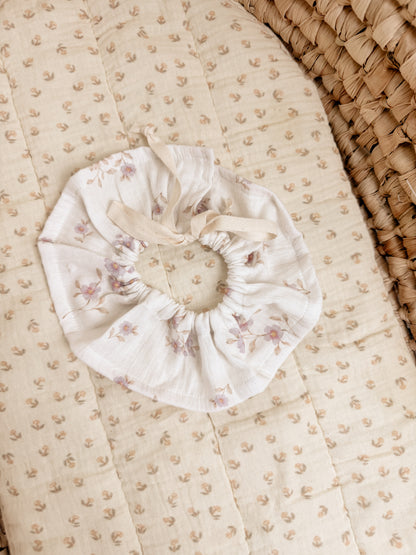 Colerette prêt à partir